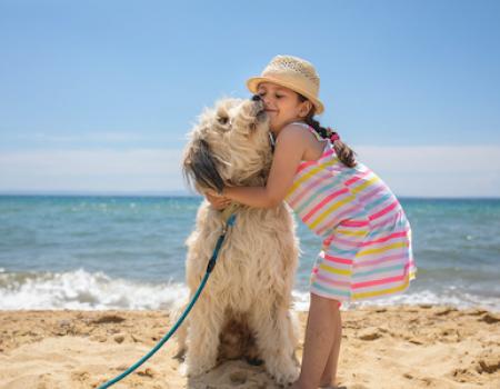 dog and kid on beach